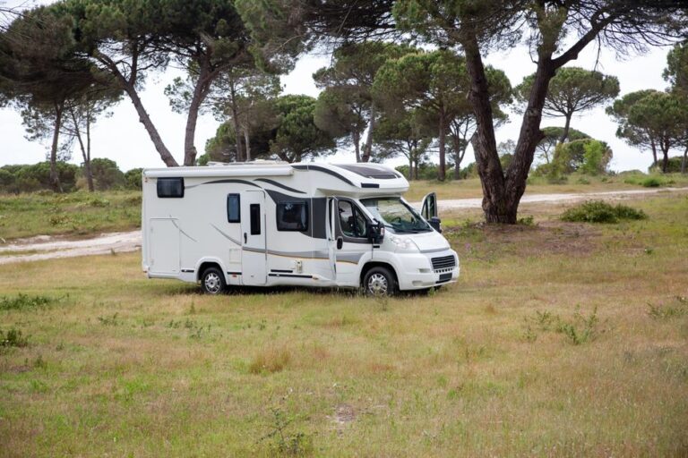 Descubra os Melhores Modelos de Motorhome: Guia para Sua Escolha Perfeita